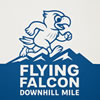 Flying Falcon Downhill Mile